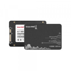 GreatWall GC25 256GB SATA III (GC25-256G-A)